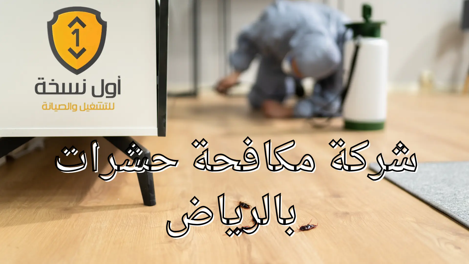 شركة مكافحة حشرات بالرياض
