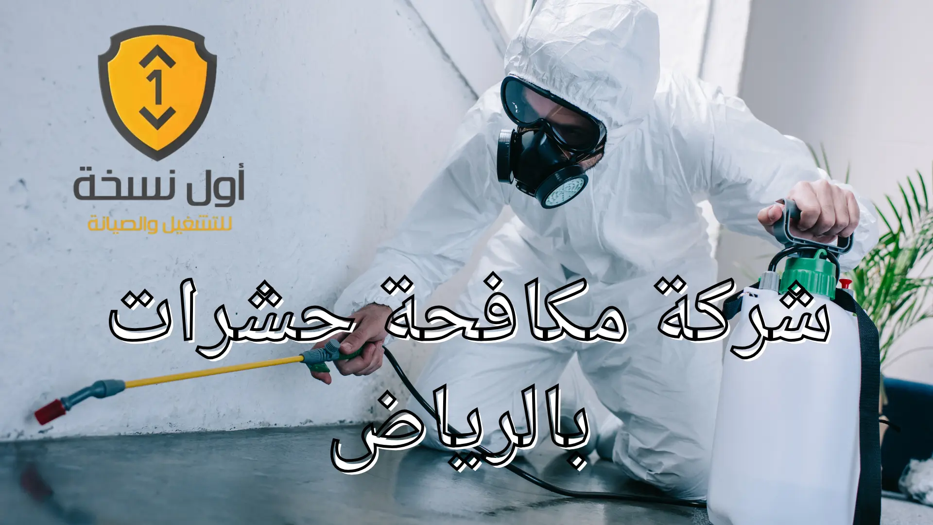 شركة مكافحة حشرات بالرياض